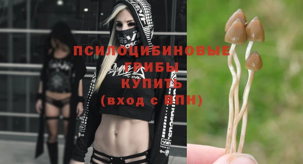 Альфа ПВП Белокуриха