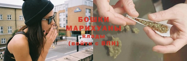 стаф Пестово