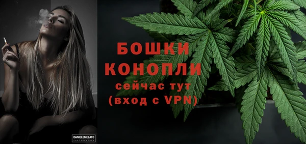 Альфа ПВП Белокуриха