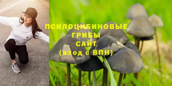 стаф Пестово